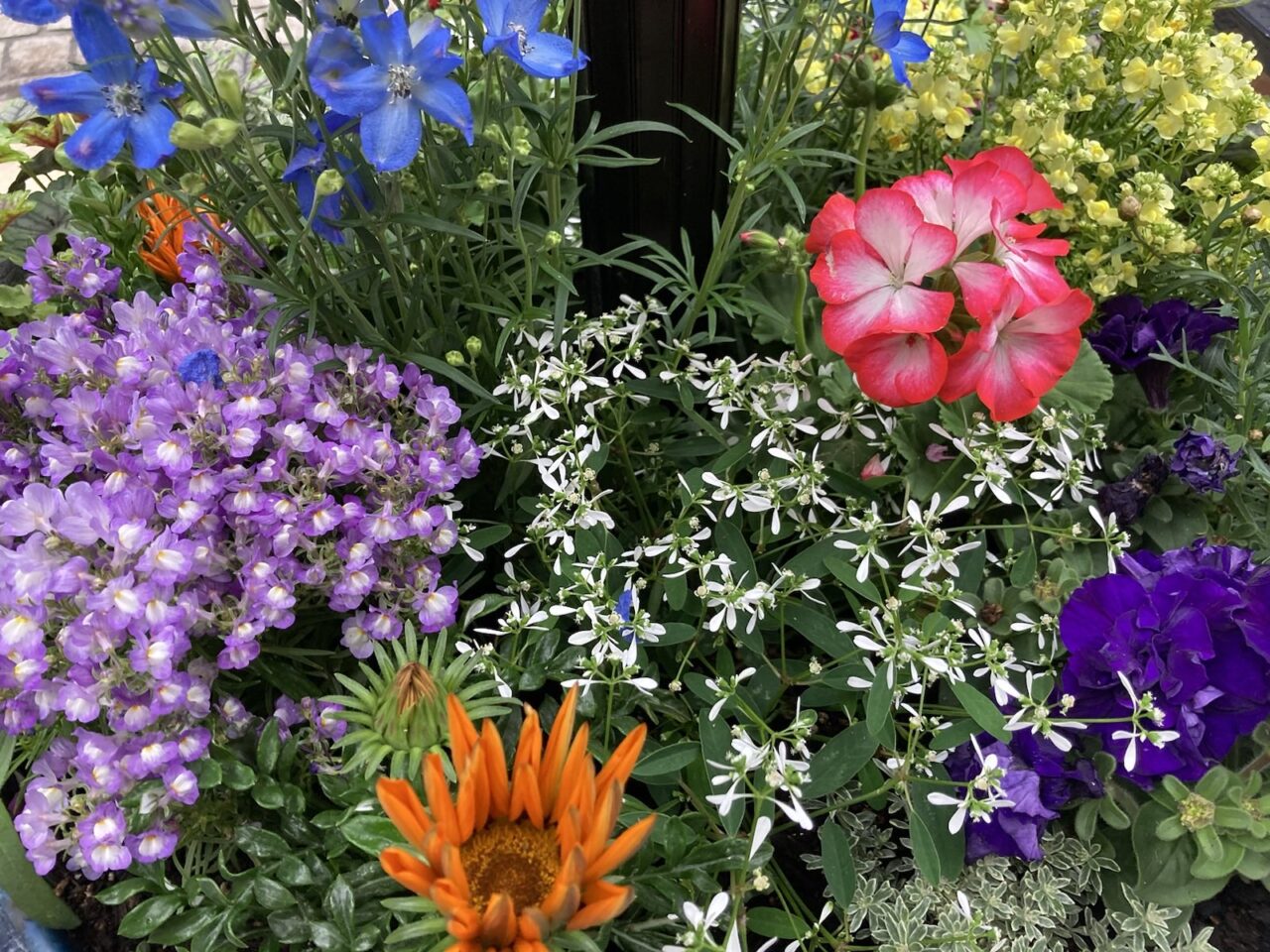 ファビアンアイ